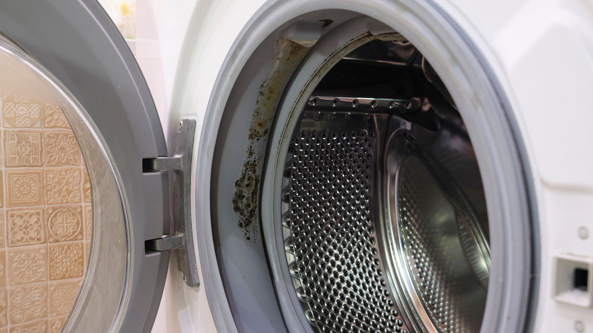 Moldy washing machine gasket