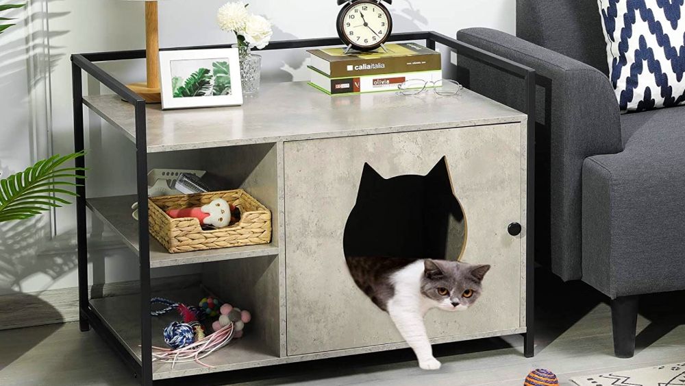 Ways to hide the litter box