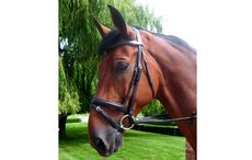 Mark-Todd-Performance-Flash-Bridle-black.jpg
