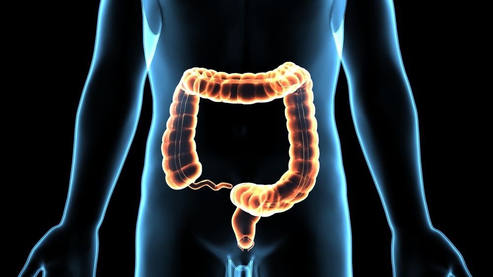 large intestine, colon