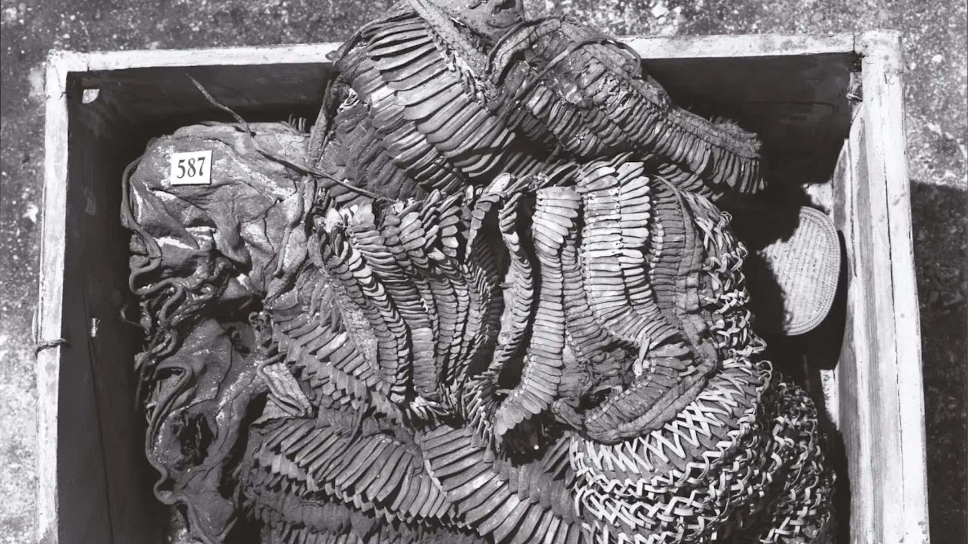 A black and white photo of armor in a box