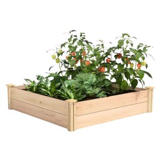 Wooden square raised garden bed with vegetables
