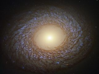 The spiral pattern shown by the galaxy in this image from the NASA/ESA Hubble Space Telescope is striking because of its delicate, feathery nature. These "flocculent" spiral arms indicate that the recent history of star formation of the galaxy, known as NGC 2775, has been relatively quiet