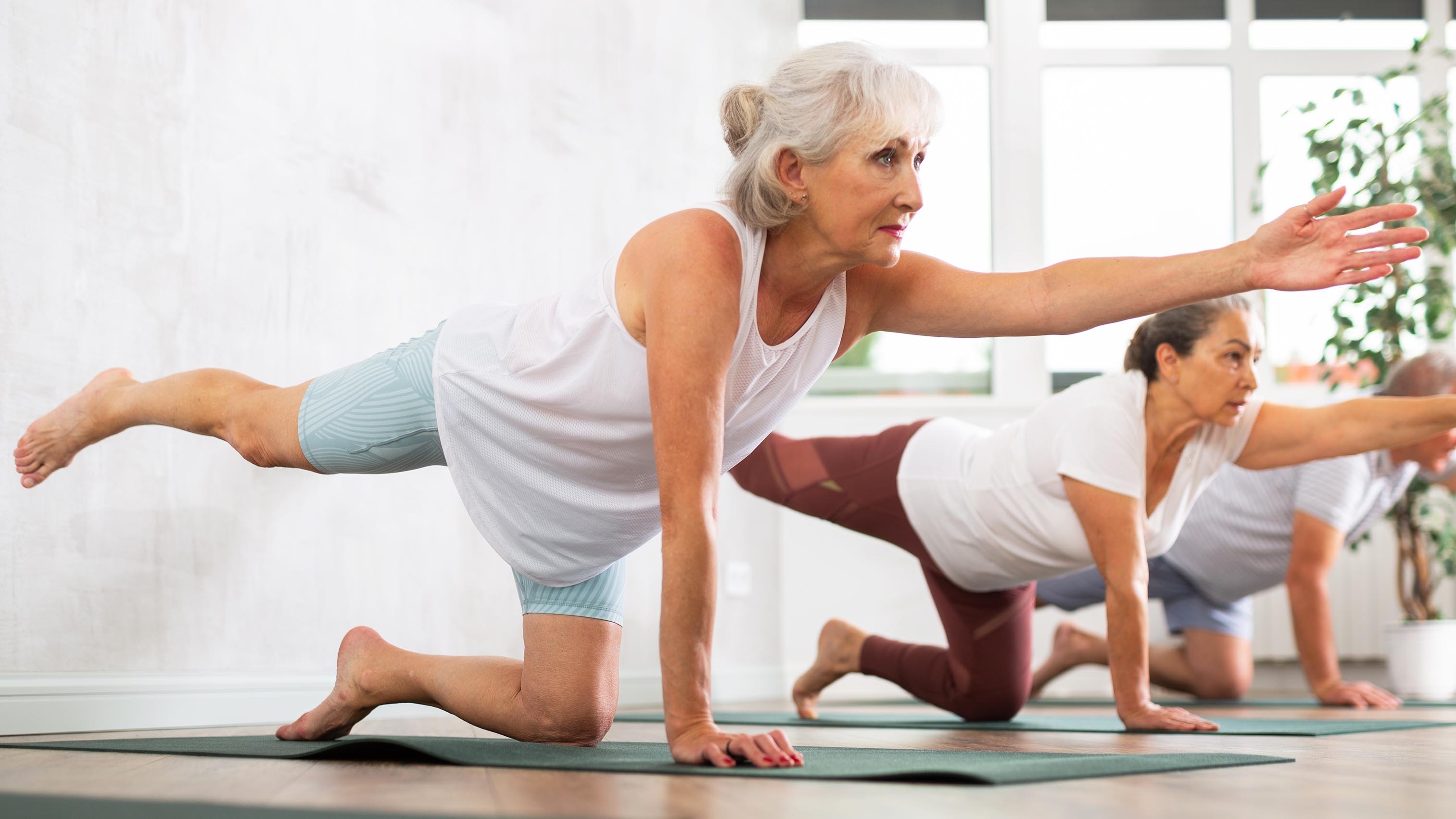 a senior woman doing the bird dog exercise