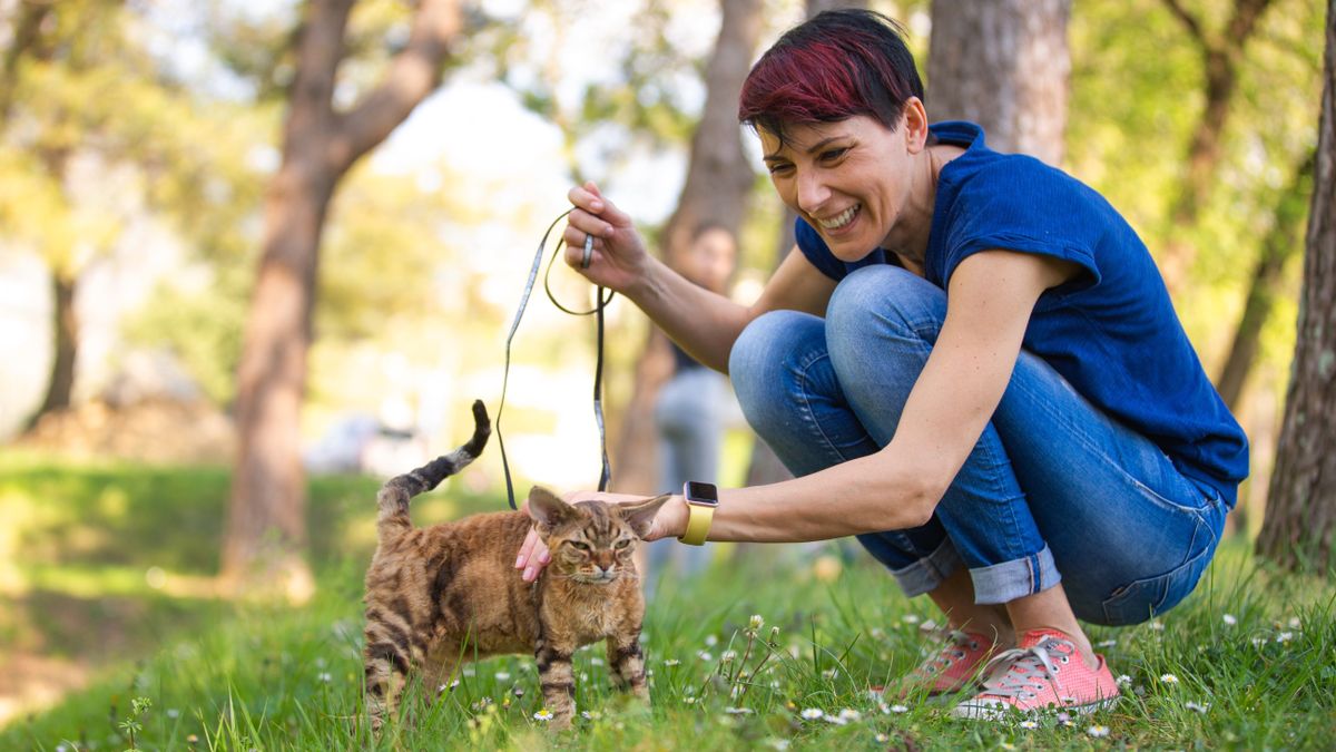 Woman walking her cat in the park — which is one of the best ways to build more fun into your cat&#039;s routine