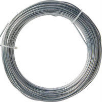 Galvanised Wire | £4.63 on Amazon