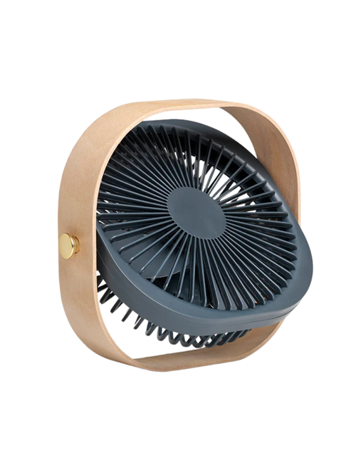 Fantastic Portable Fan