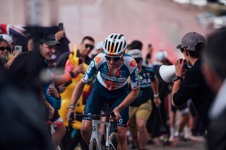 Picture by Zac Williams/SWpix.com - 19/05/2024 - Cycling - 2024 Giro d'Italia, Stage 15 - Manerba del Garda - Livingo (Mottolino) - Italy - Romain Bardet, Team DSM Firmenich Post NL.