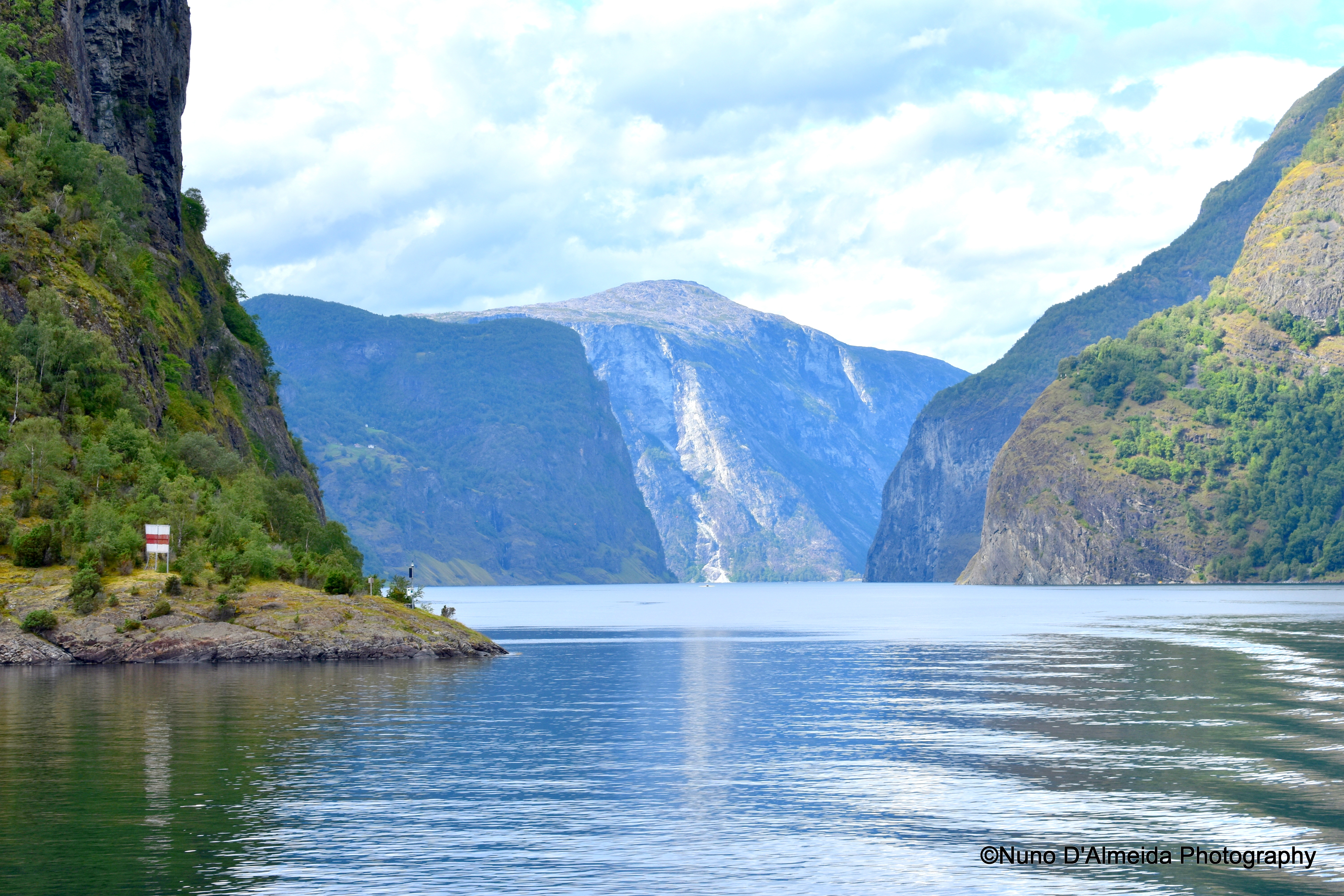 GuruShots - Nature March 2026