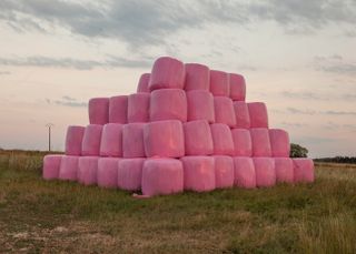 Bales of hay wrapped in bright pink plastic