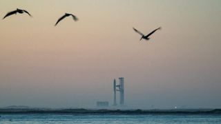 Three birds fly in the hazy sky above a giant rocket, looking small on the horizon in the disatnce.