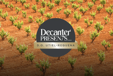 'Decanter Presents... Utiel-Requena' logo on top of background of orange soil with small green vines