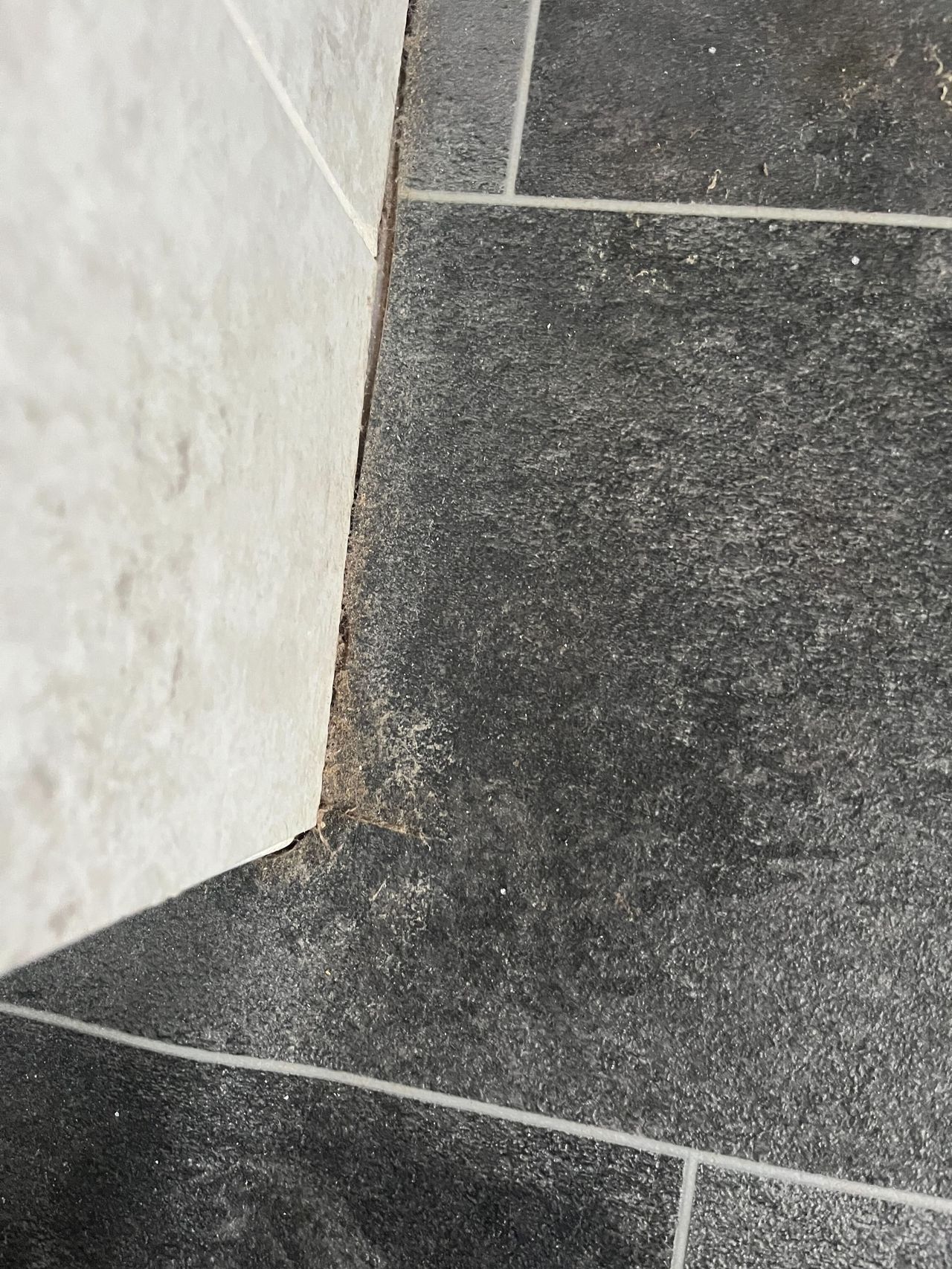 Built up brown grime along the edge of a black linoleum bathroom floor