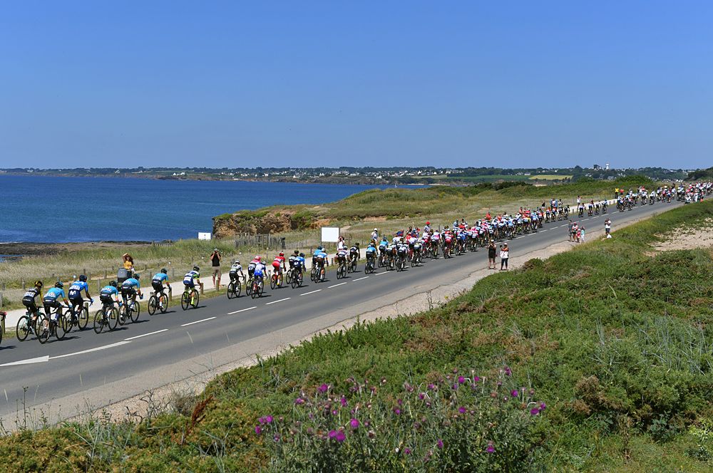The peloton during stage 5 at the Tour de France