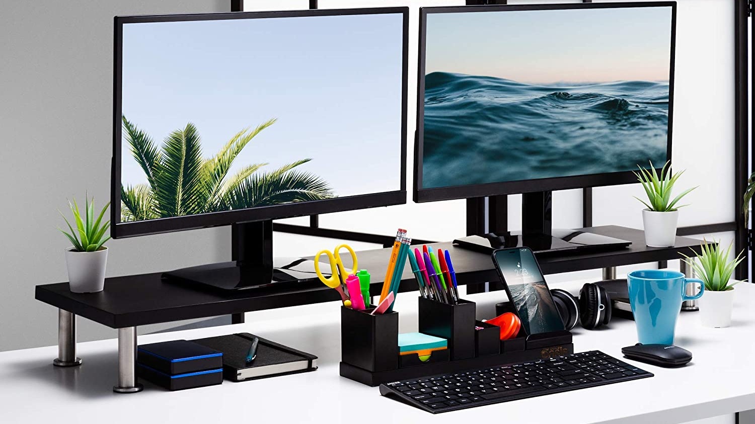 13 Best Monitors 2021