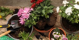 Potting bench with plant pots planting flowers to show how to use wine corks in your garden to improve pot drainage