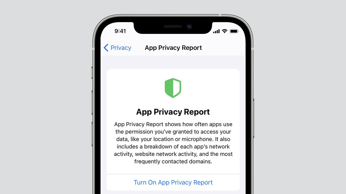 App Privacy Report