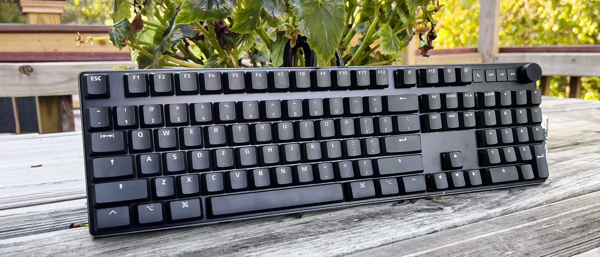 Das Keyboard MacTigr on picnic table