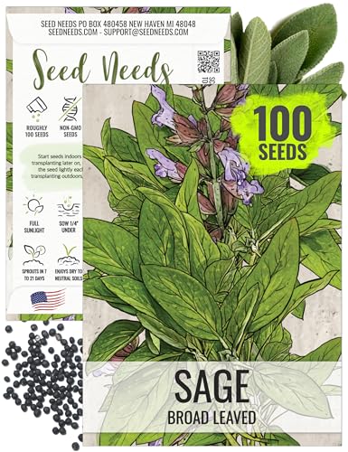 Seed Needs Sage Seeds for Planting Broad Leaved Herbs - Non-Gmo Heirloom &amp;amp; Untreated Culinary Herb Seed to Plant a Home Grown Garden Indoors or Outdoors (1 Pack)