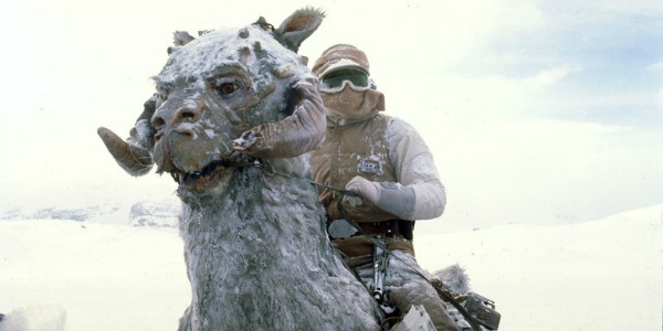 Han Solo on a tauntaun