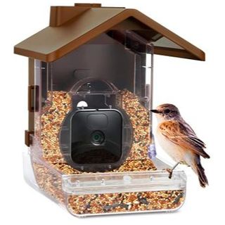 Wasserstein bird feeder camera Sq