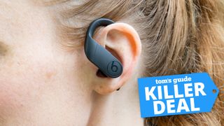 Beats Powerbeats Pro wireless earbuds