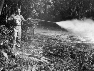 An American soldier spraying oil on swamp water to kill mosquito larvae, which carry diseases, on a South Pacific Island.