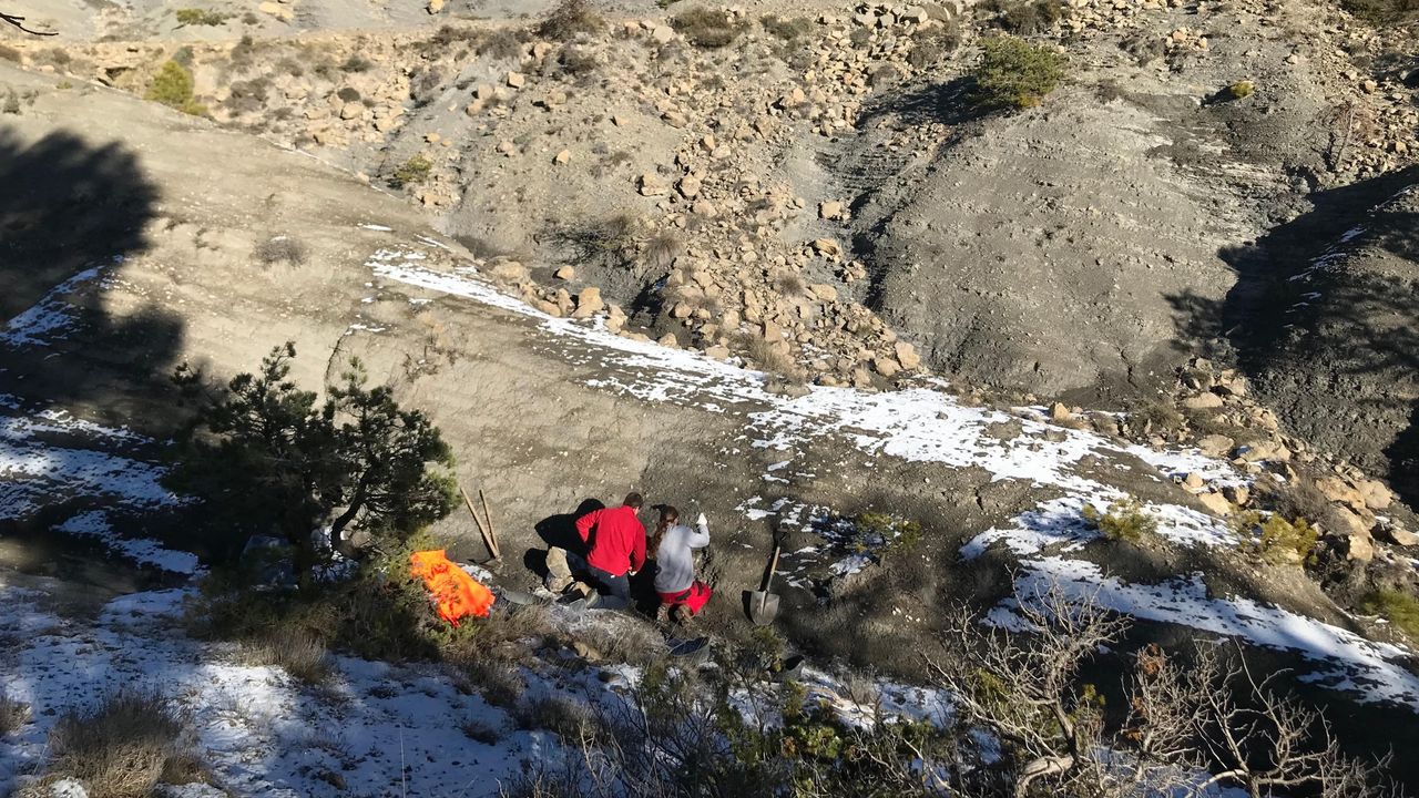 Researchers excavate the turtle's remains at the Cal Torrades locality in northeastern Spain.