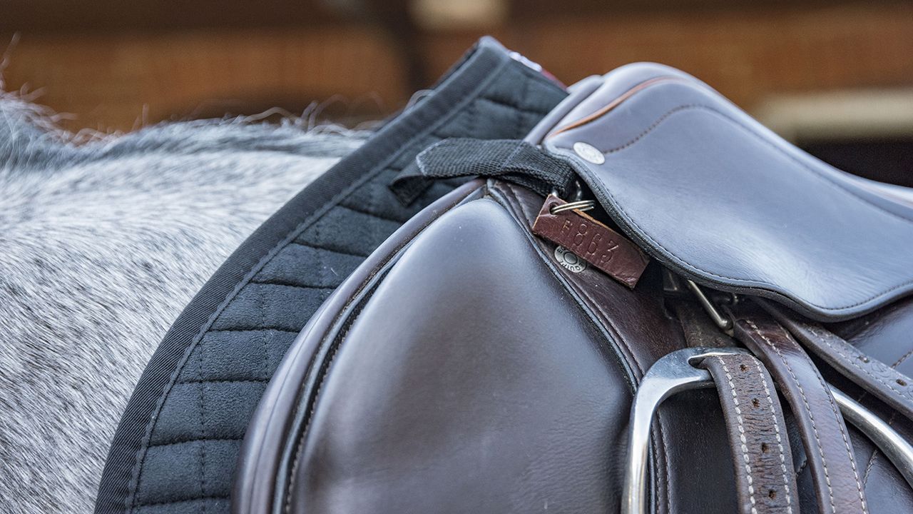 LeMieux ProSport CC/Jumping suede square review