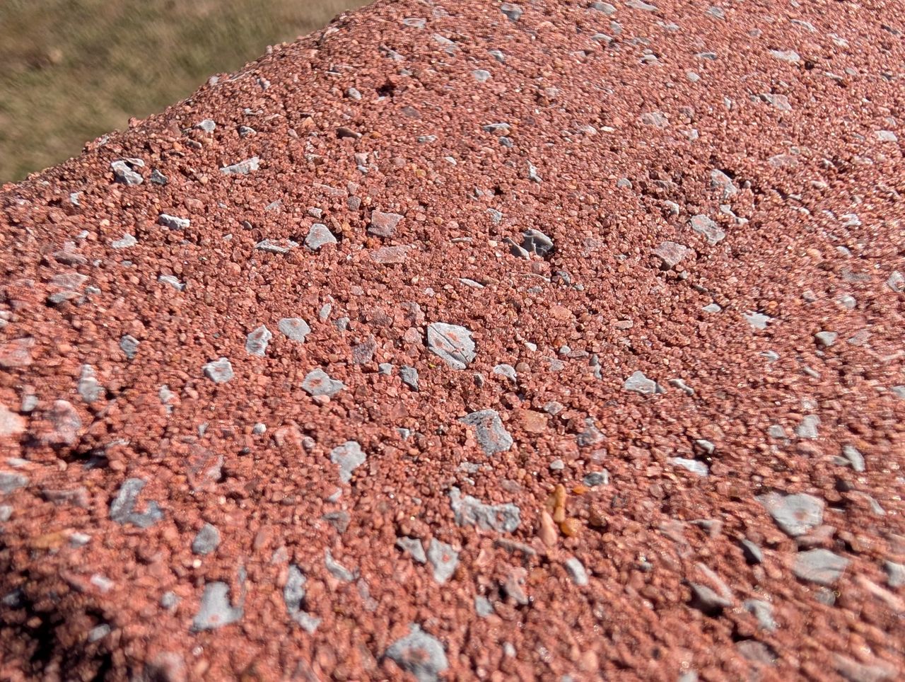 Google Pixel 9 Pro XL macro sample.