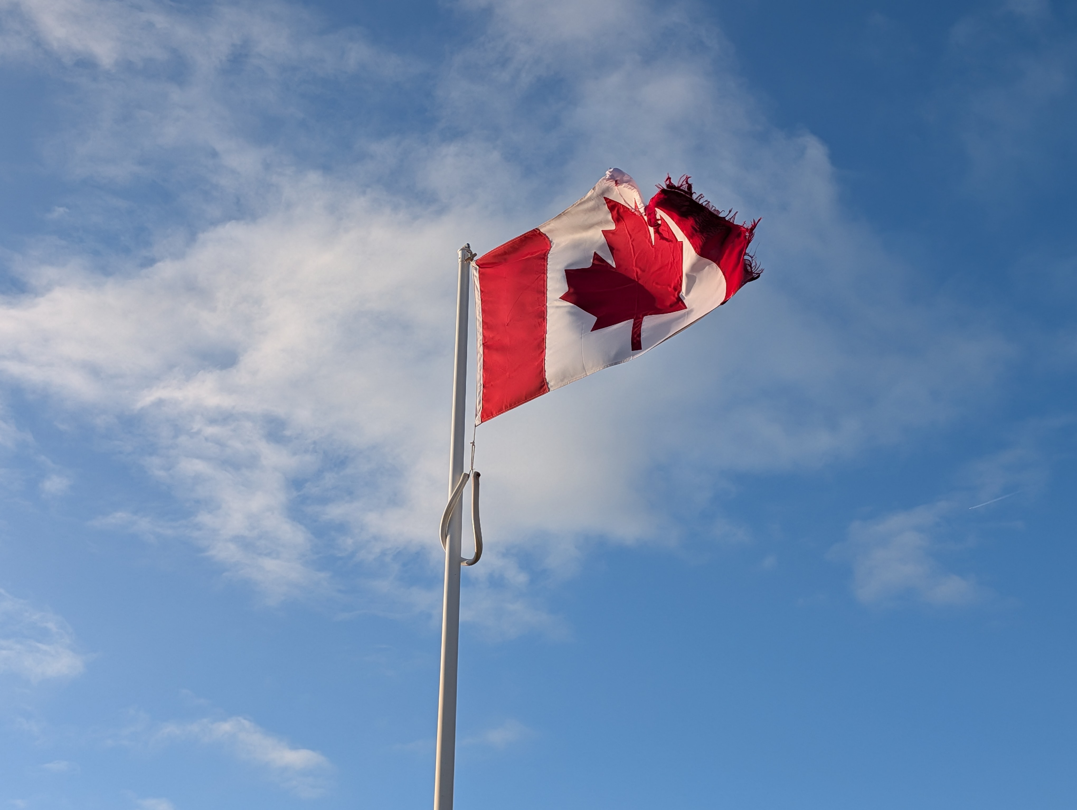 Google Pixel 10 Pro camera sample windy flag motion test