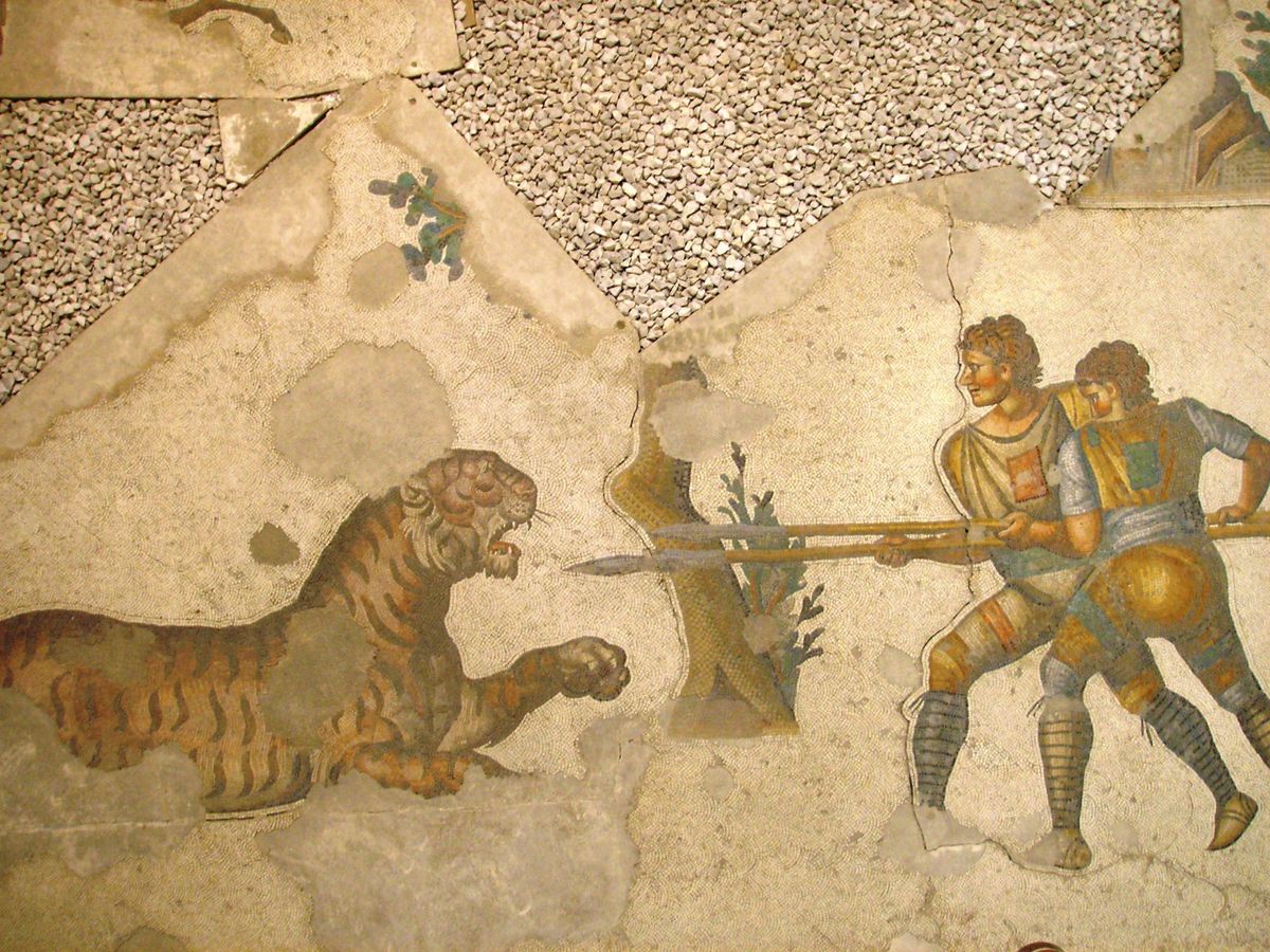Did Romans battle rhinos in the Colosseum? A historian explains the