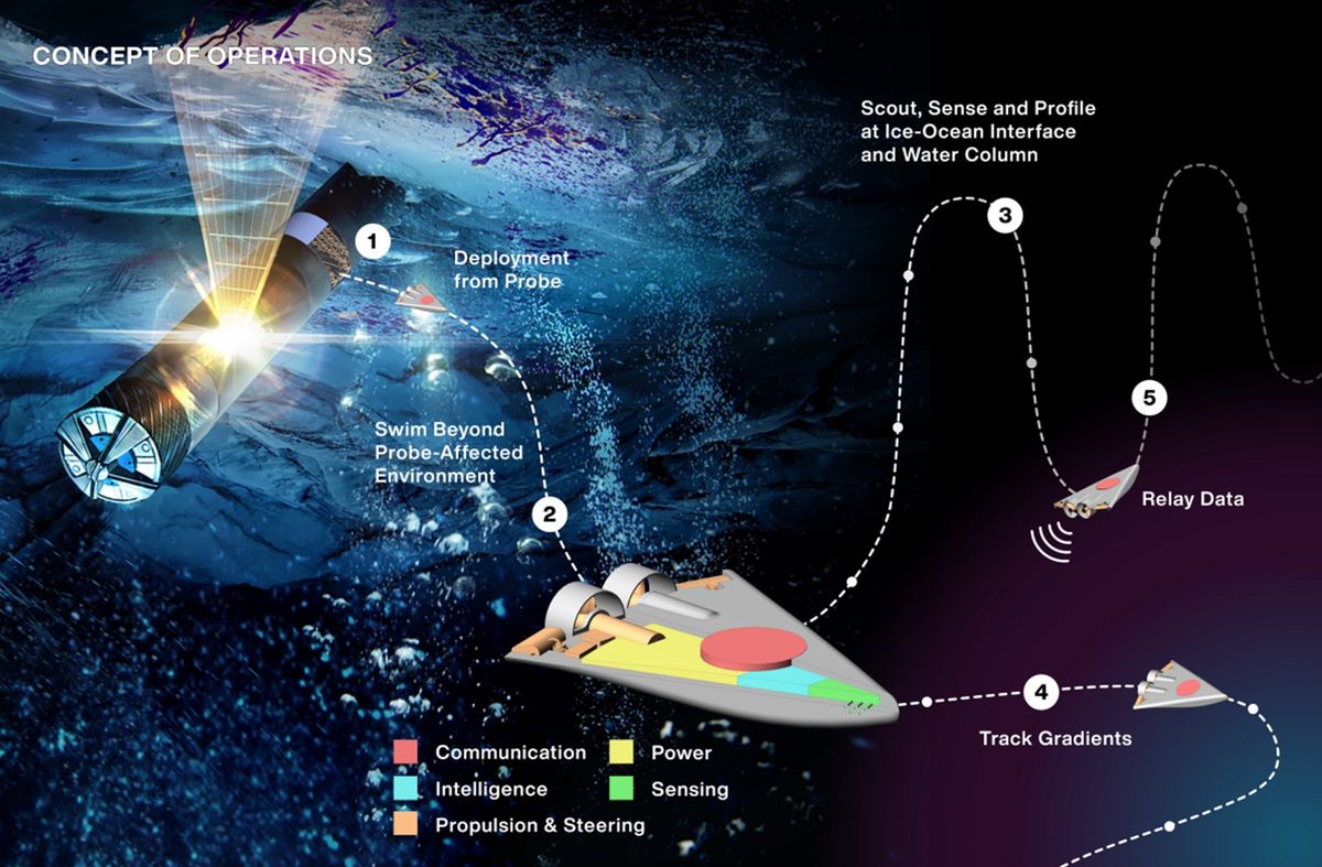 A concept of NASA JPL&#039;s SWIM robot concept.