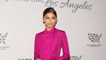 Timothée Chalamet's Pink Suit Is Similar to ﻿Zendaya's in 2016 | Marie ...