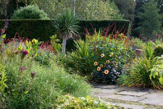 garden border tips: plant a palm tree as seen in this picture
