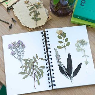 notebook with pressed flower and leaves