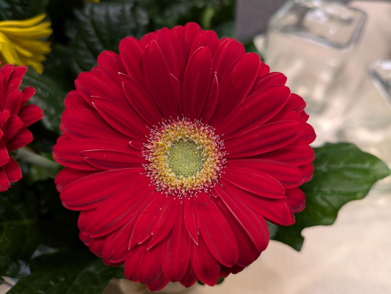 Google Pixel 8a macro sample.