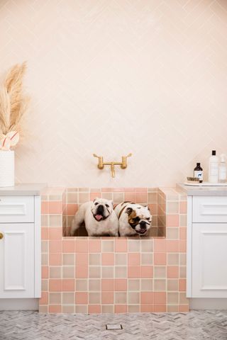 a laundry room with a pink tiled dog bath