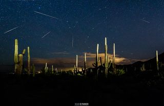 2015 Draconid Meteors in Arizona