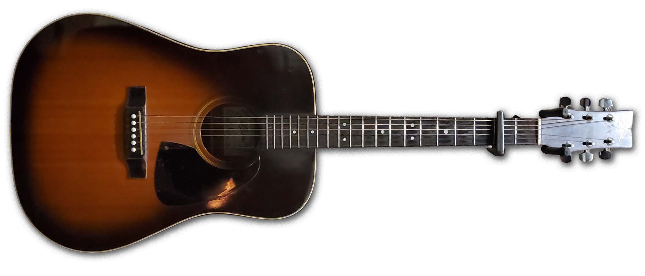 Walter Trout's Aria acoustic
