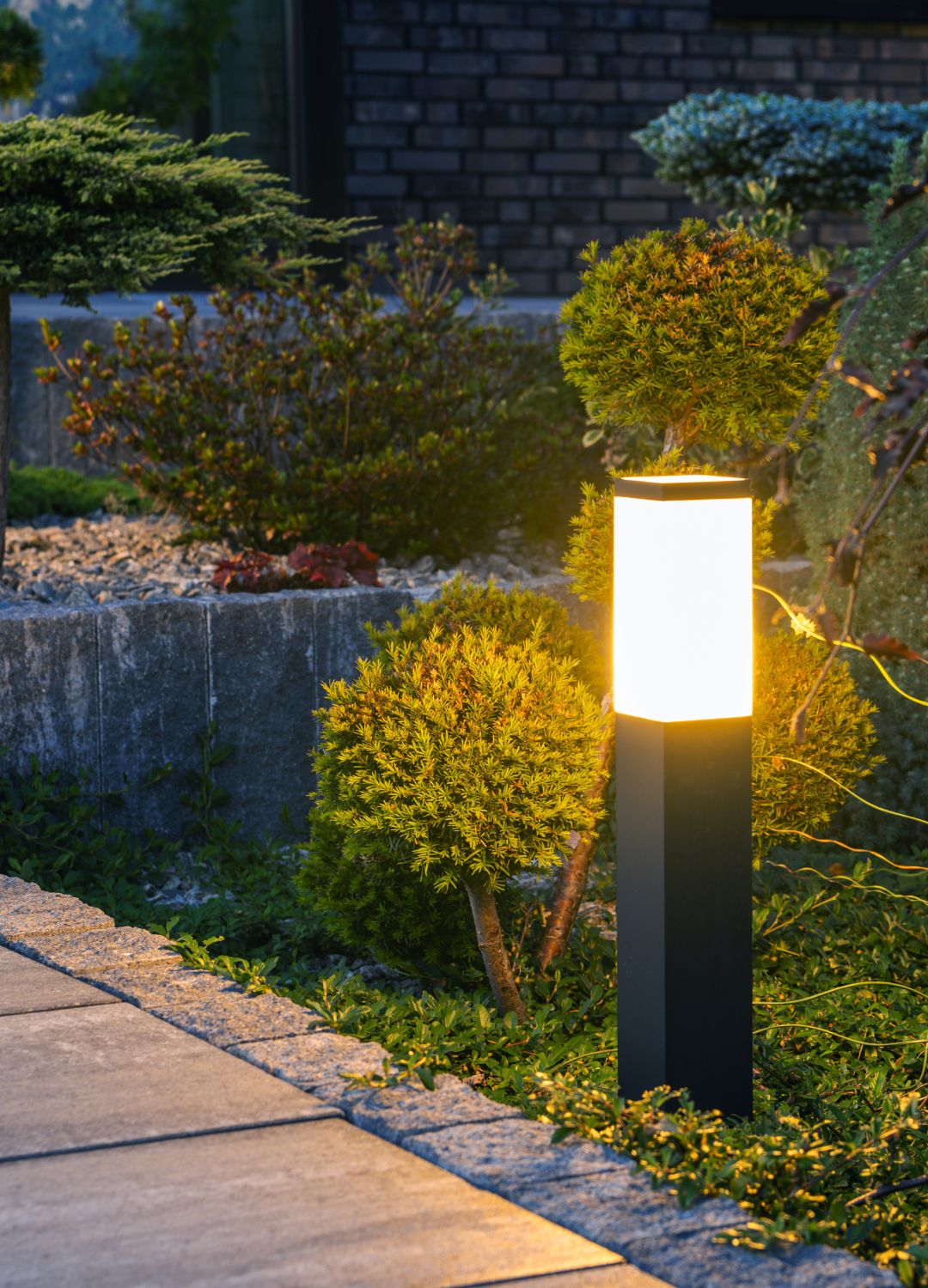 picture of pathway light in a warm white colour around plants