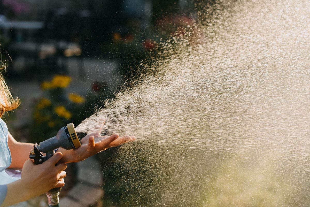 Hose spraying water in a garden