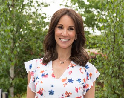 andrea mclean bullying