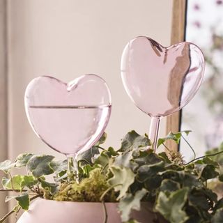 Heart Watering Globes, Set of 2