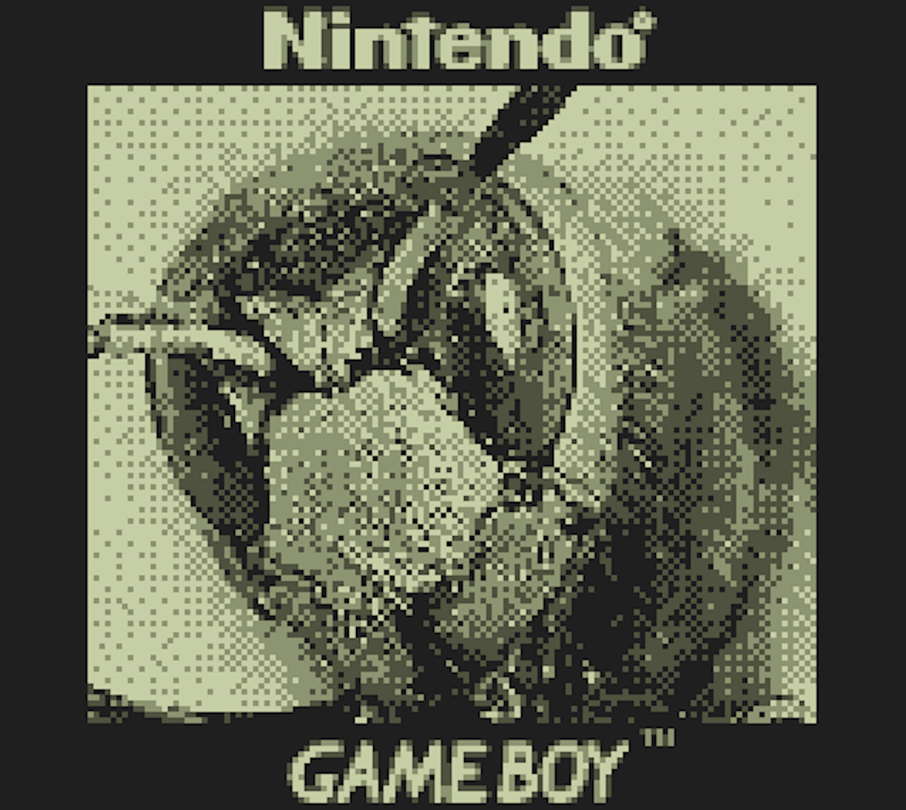 This Game Boy Camera can shoot photos of the moon