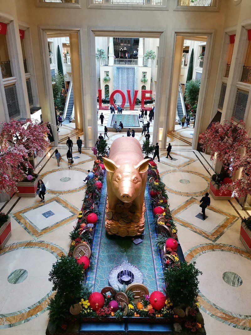 Honor View 20 photo sample