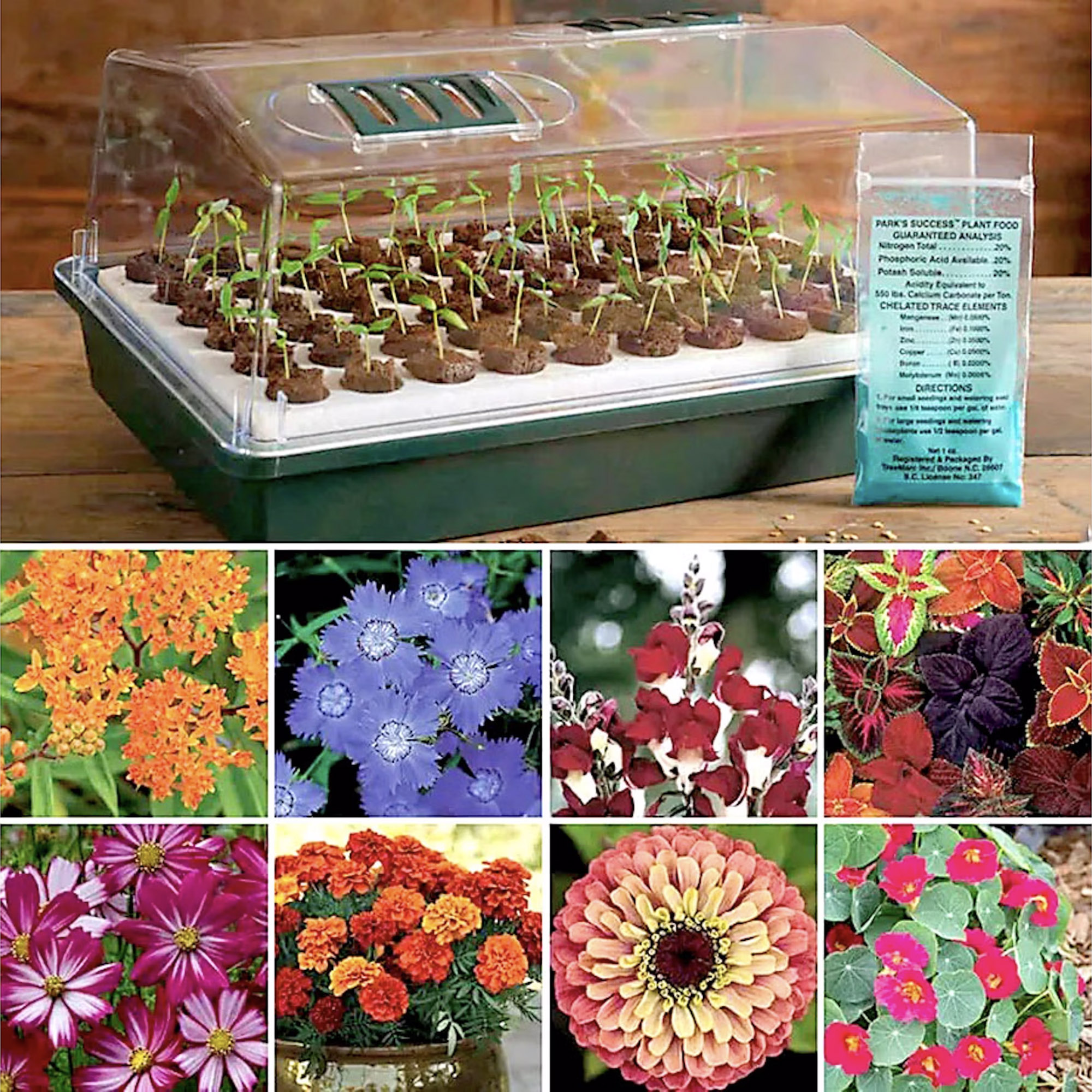 Flower Seed Bio Dome Collection