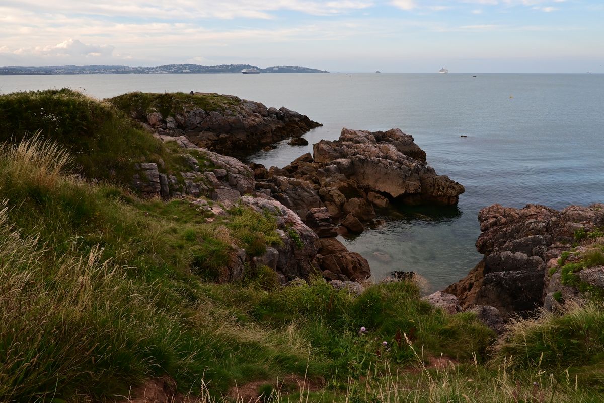 Grassy coastline in front of the sea