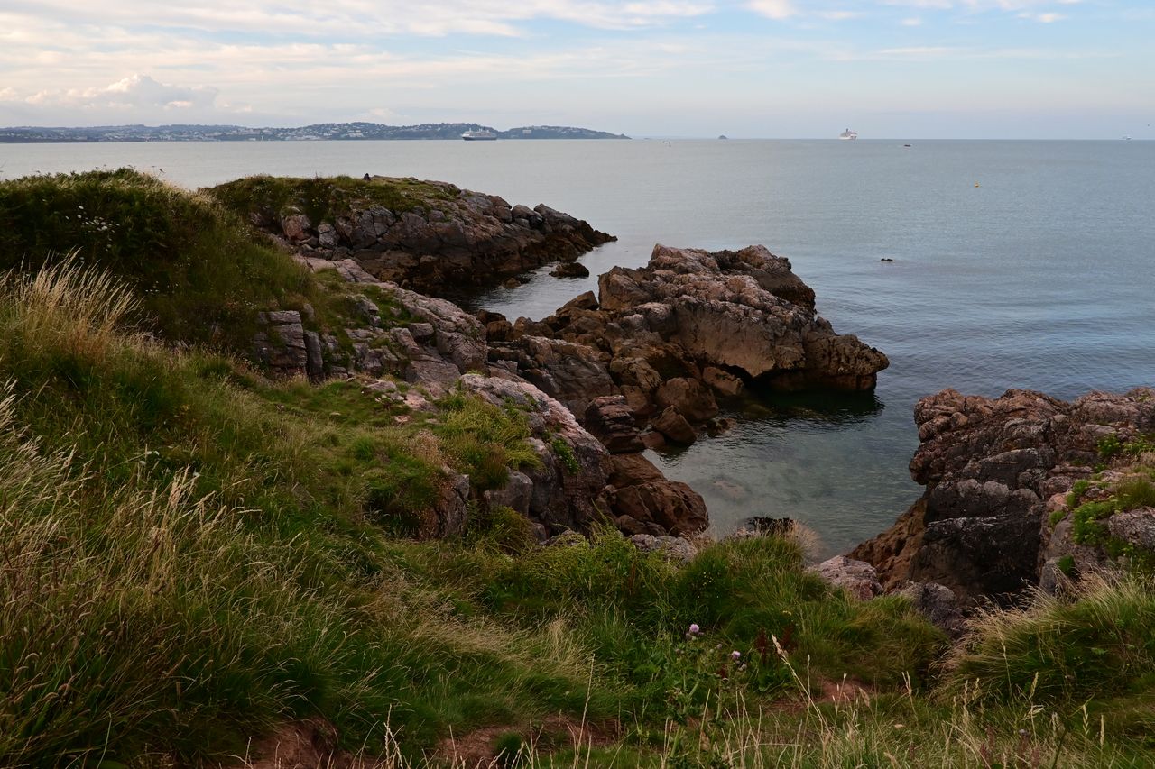 Grassy coastline in front of the sea