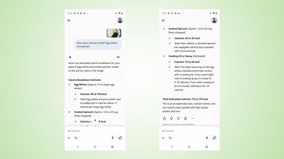 Google Gemini calorie tracker screenshots.